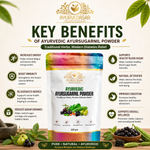 Ayurvedasar Premium Ayursugarnil Powder - 18-Herb Traditional Metabolic Wellness Blend, 100g Pouch