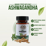 Ayurvedasar Daily Ashwagandha KSM-66 Root Extract - Premium Adaptogen Supplement, 60 Vegan Capsules