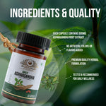 Ayurvedasar Daily Ashwagandha KSM-66 Root Extract - Premium Adaptogen Supplement, 60 Vegan Capsules
