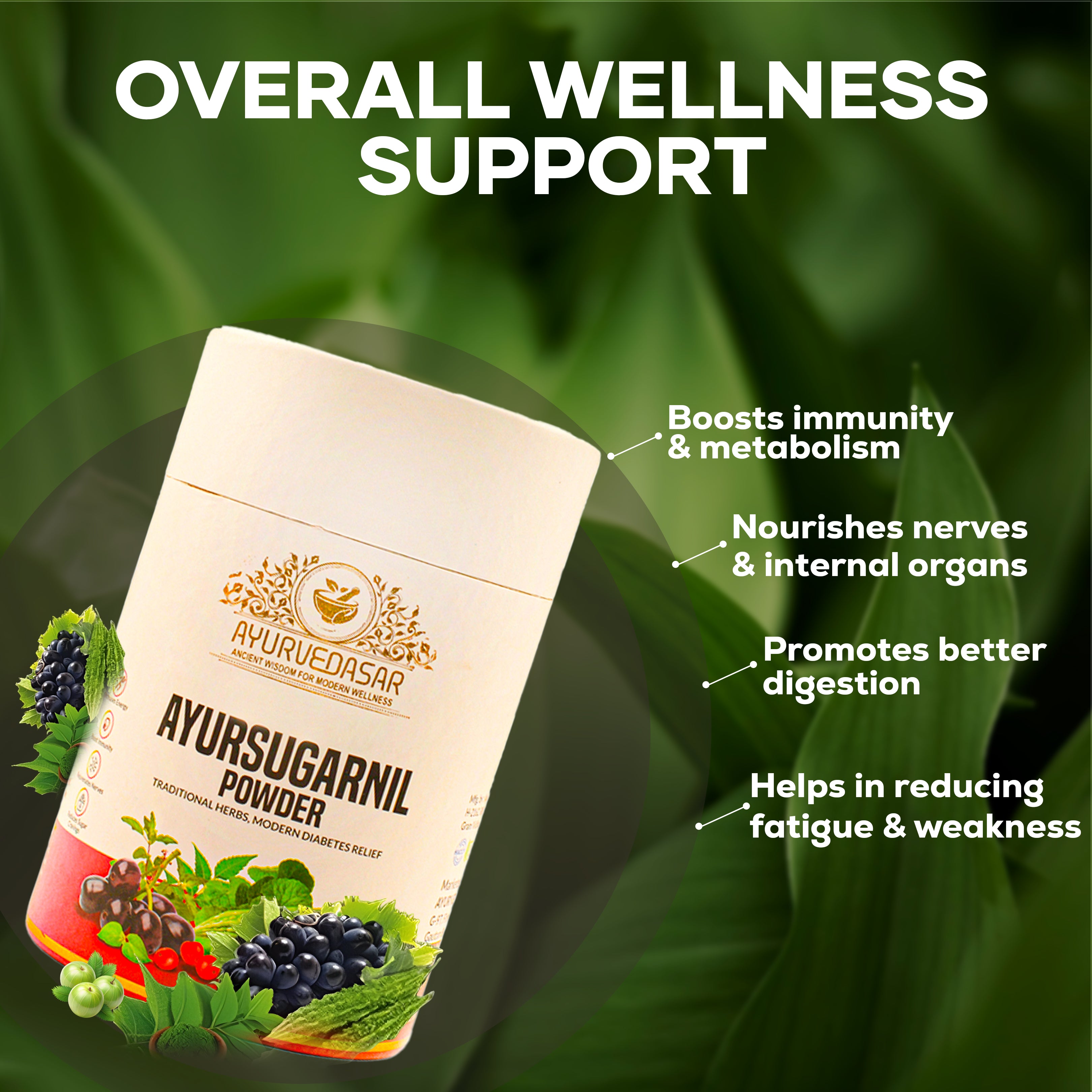 AYURVEDASAR Ayurvedic Ayursugarnil Powder