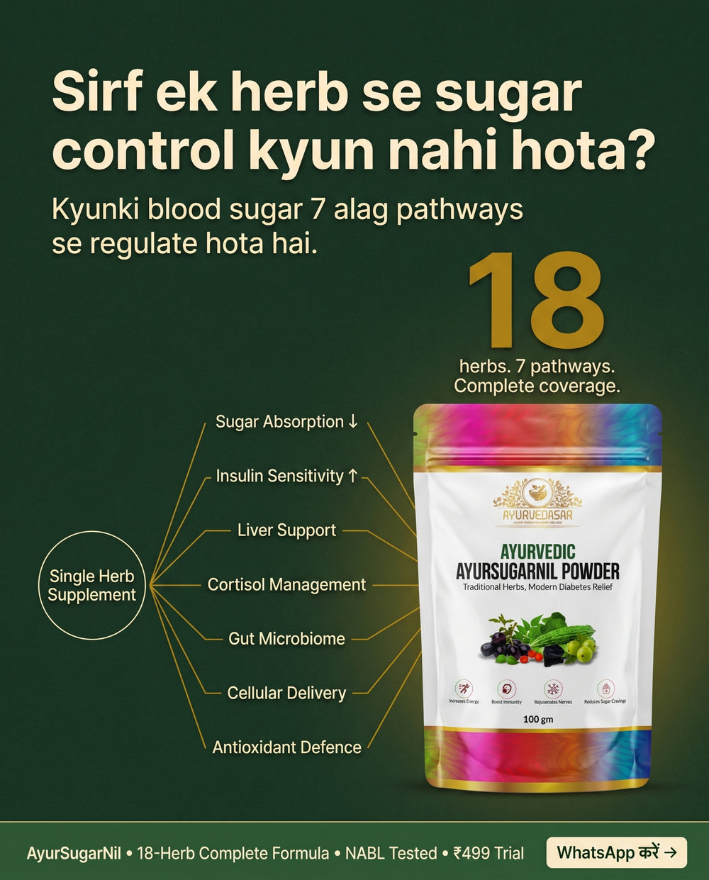 Ayurvedasar Premium Ayursugarnil Powder - 18-Herb Traditional Metabolic Wellness Blend, 100g Pouch