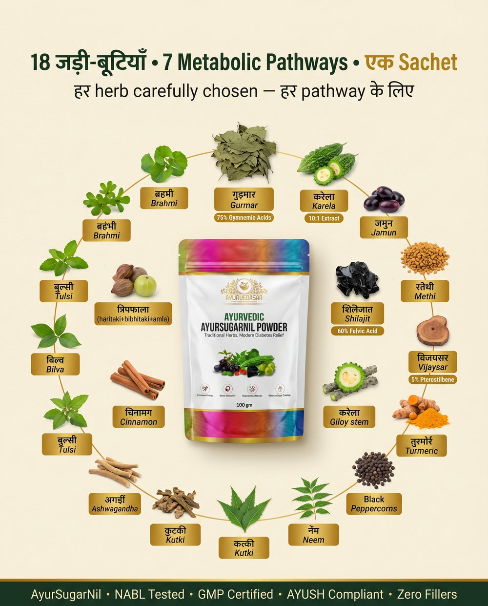 Ayurvedasar Premium Ayursugarnil Powder - 18-Herb Traditional Metabolic Wellness Blend, 100g Pouch
