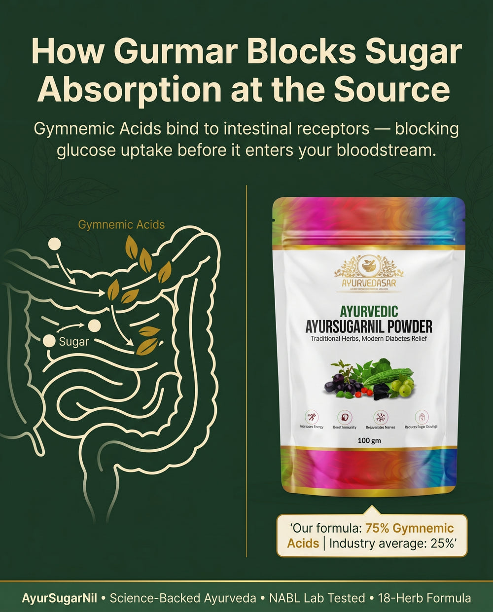 Ayurvedasar Premium Ayursugarnil Powder - 18-Herb Traditional Metabolic Wellness Blend, 100g Pouch