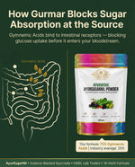 Ayurvedasar Premium Ayursugarnil Powder - 18-Herb Traditional Metabolic Wellness Blend, 100g Pouch