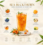 Ayurvedasar Sea Buckthorn Ras - Pure Himalayan Omega 3 6 7 9 Superfood Concentrate, 500ml