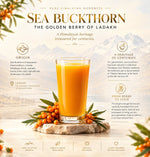 Ayurvedasar Sea Buckthorn Ras - Pure Himalayan Omega 3 6 7 9 Superfood Concentrate, 500ml